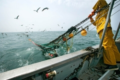 Image Fisherman on trawler bringing in net.
