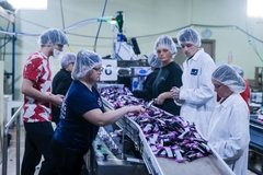 Image people in factory stand next to machine line producing packed nutrition bars