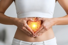 Image Human digestive system