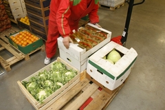 man picking fruit pallet up