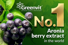Image Greenvit