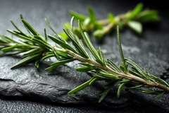 Image Rosemary on slate board.