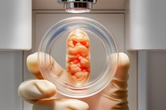 Lab grown human skin