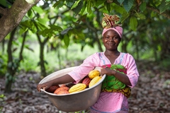 Cocoa farmer holding a basket of cocoa fruit.