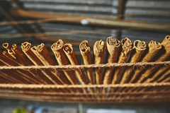 Image Cinnamon sticks.