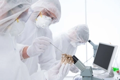 Image Researchers working with psychedelic mushrooms
