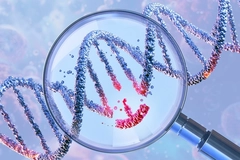 DNA double helix under magnifying glass showing gene editing