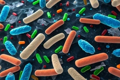 Image Gut microbiome with plastic polymer particles invading intestinal bacteria