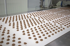 Image Chocolate alternative being made at factory.