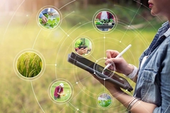 agriculture farmer hand using device to monitor crop data