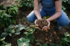 Image Woman holding soil as part of regenerative agricultural practices.