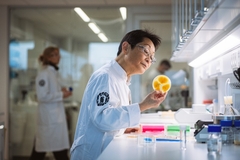 Image Chef working on a lab-grown fungi as part of the Nomo and Novonesis partnership.
