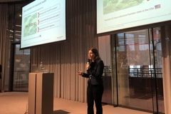 Image Silvia giving lecture in front of projector screen