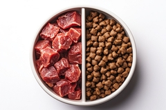 Image Dog kibble and raw meat