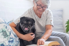 Image pug dog looking at book with his senior owner, together on couch at home