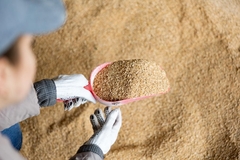 Image Animal feed.