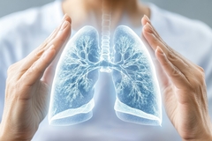 Image Diagram of a human lung