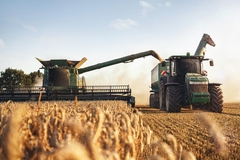 Image Tractor in a field of wheat.