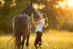 Image Woman petting horse