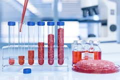 Image cell based beef in test tube and petridish in lab