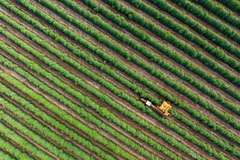 Image Brazil farm.