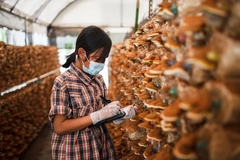 girl examining mushroom in lab