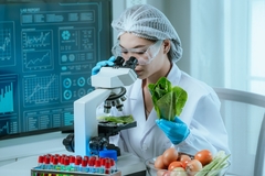 Image Food scientist in a lab