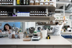 Image food scientists working in lab