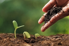 Image Farmer planting seeds.