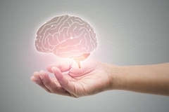 Image Illustration of a brain