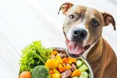 Image Homemade dog food