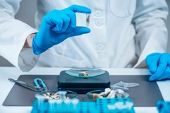 Image Psychedelic mushrooms in a lab
