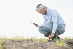 Farmer looking at produce.