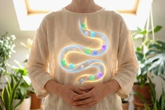 Image Digestion system illustration