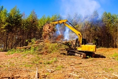 Image Deforestation.