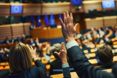 Image Hands in EU parliamentary setting voting
