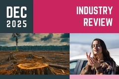 Image Monthly Industry Review written and a picture of a chopped down tree and a girl putting on sunscreen.