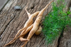 Shatavari root Shatavari root