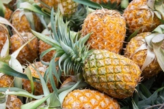 Image A pile of pineapples.