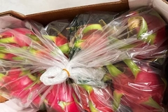 Dragon fruits wrapped in films and boxes