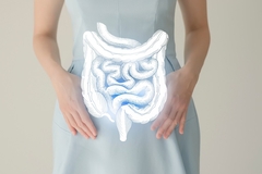 Digestive system diagram Digestive system diagram