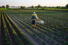 worker with sprayer in field