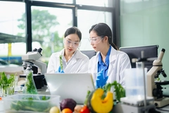 Asian food scientists test vegetables in biotech lab using microscope and laptop.