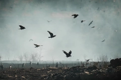 Image Ukraine field burned by shelling.