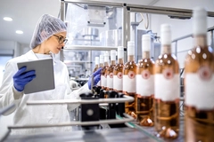 Image female inspector in wine factory