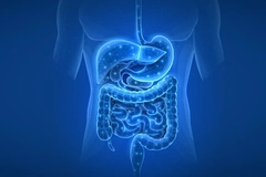 Diagram of digestive system