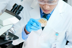 Image man in lab coat examins beans next to microscope