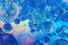 Image human cells in microscope