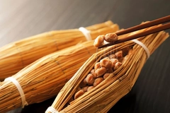 Natto
