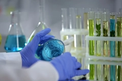 Pigment research